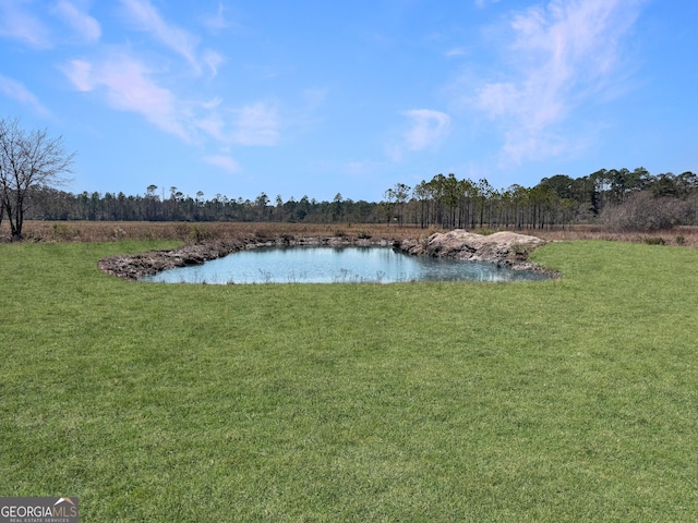0 Humpback Rd, Hortense, GA 31543