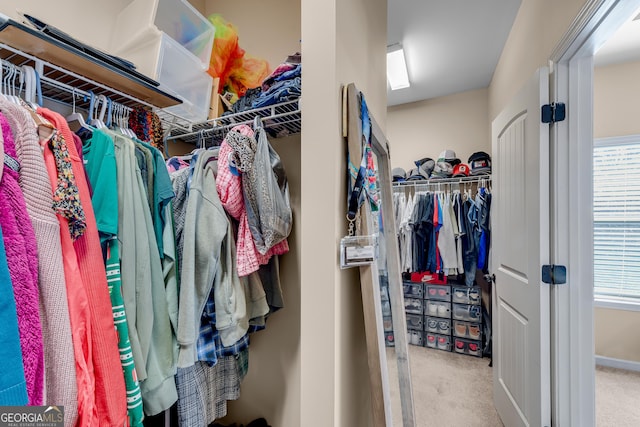spacious closet with carpet floors