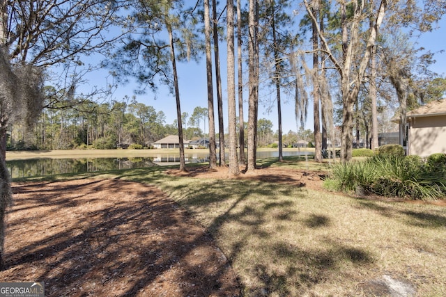 246 Heron Ct, Saint Marys, GA 31558 - view of yard featuring a water view