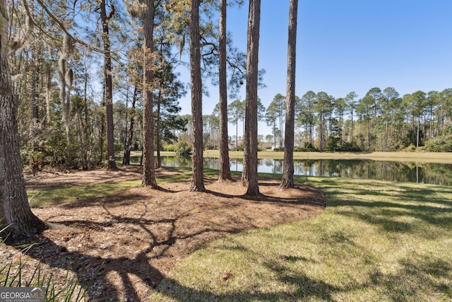 246 Heron Ct, Saint Marys, GA 31558 - view of yard with a water view