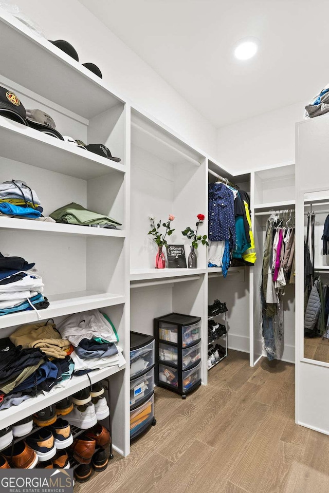 walk in closet featuring wood finished floors