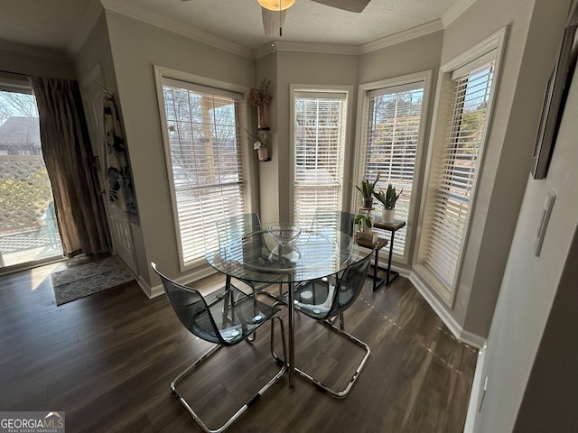 dining room with a textured ceiling, ornamental molding, a ceiling fan, and dark wood-style flooring