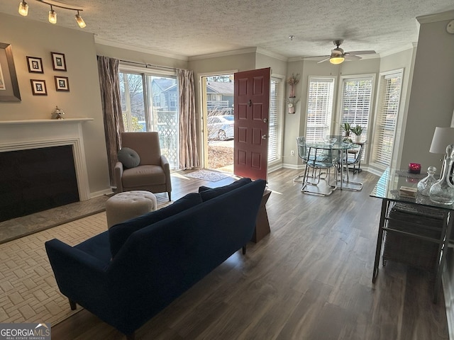 living room with a fireplace with raised hearth, a ceiling fan, a textured ceiling, wood finished floors, and crown molding