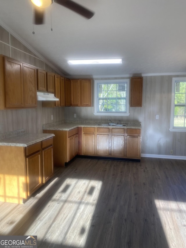 kitchen featuring dark wood finished floors, a sink, ornamental molding, under cabinet range hood, and brown cabinets