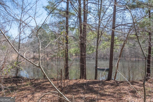 view of local wilderness featuring a forest view