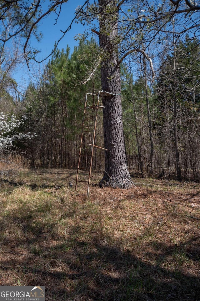 view of yard featuring a forest view