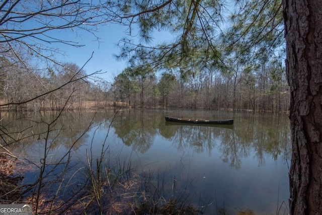 water view with a dock and a forest view