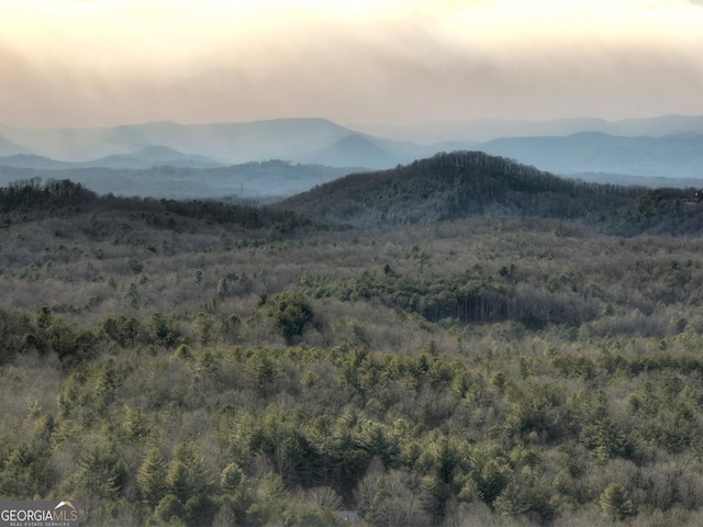 mountain view featuring a wooded view