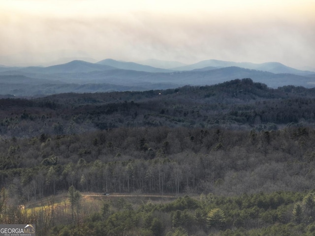 view of mountain feature featuring a wooded view