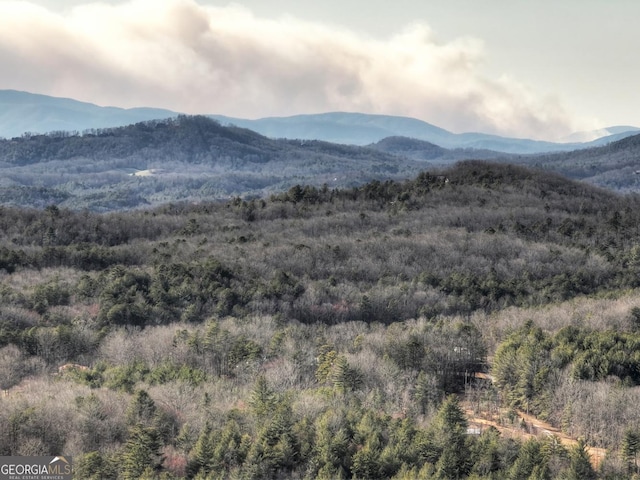 view of mountain feature featuring a view of trees