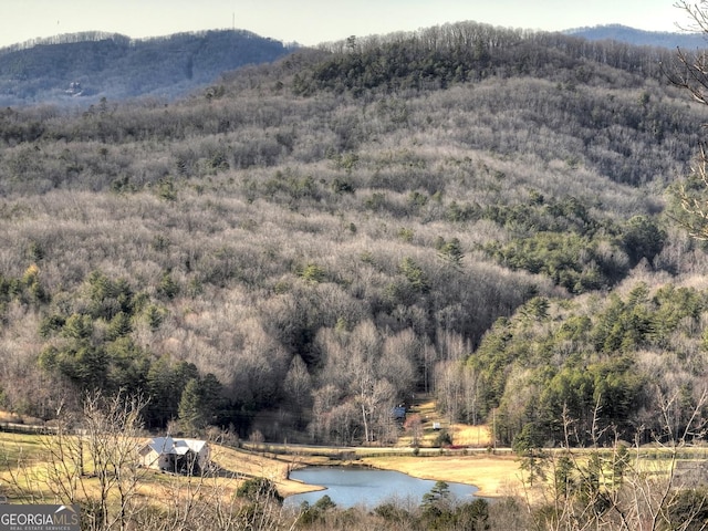 mountain view with a water view and a wooded view