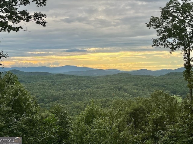 mountain view with a wooded view