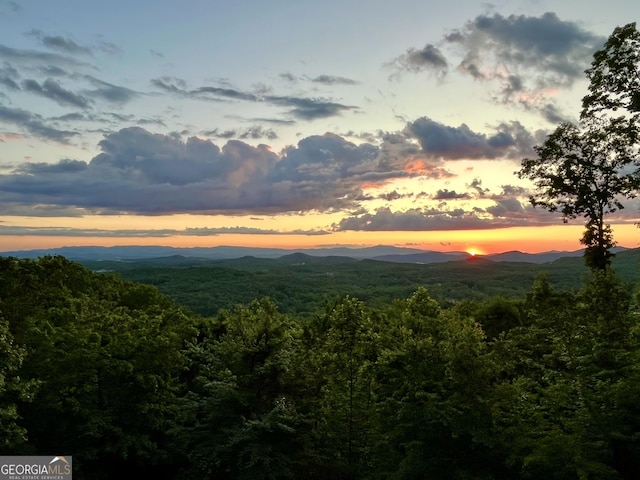 property view of mountains with a forest view