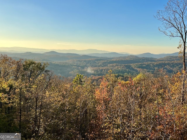 property view of mountains featuring a view of trees