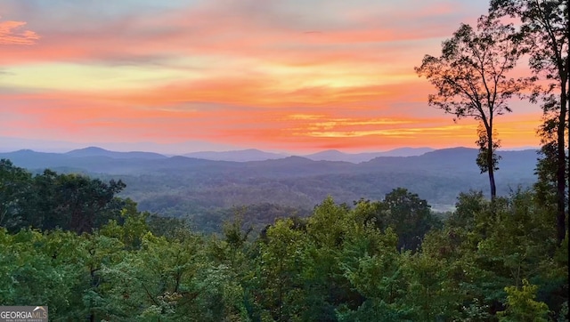 view of mountain feature with a forest view