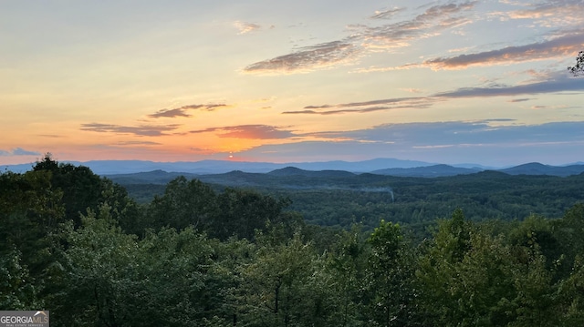 view of mountain feature with a wooded view