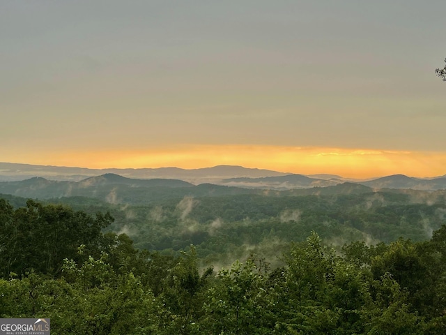 mountain view featuring a wooded view