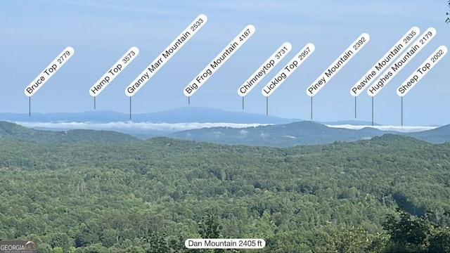 view of mountain feature with a forest view