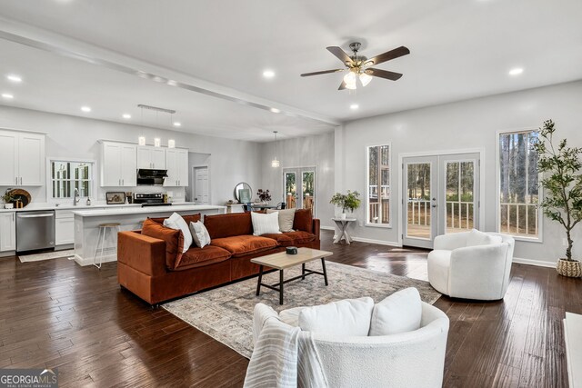 living room with french doors, a healthy amount of sunlight, and dark wood finished floors