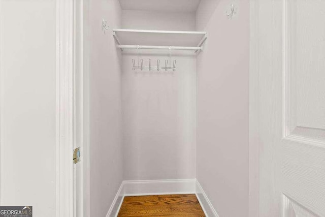 walk in closet featuring wood finished floors