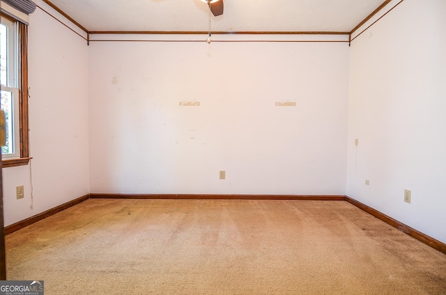 spare room featuring carpet flooring, baseboards, and crown molding