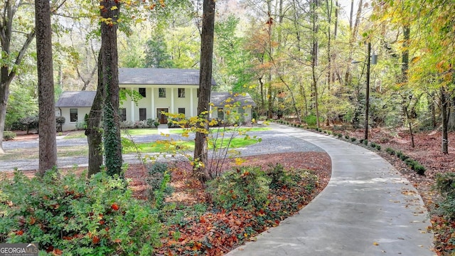 view of front of property with concrete driveway, a wooded view, and stucco siding