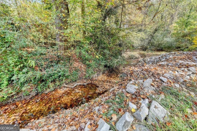 view of nature with a wooded view