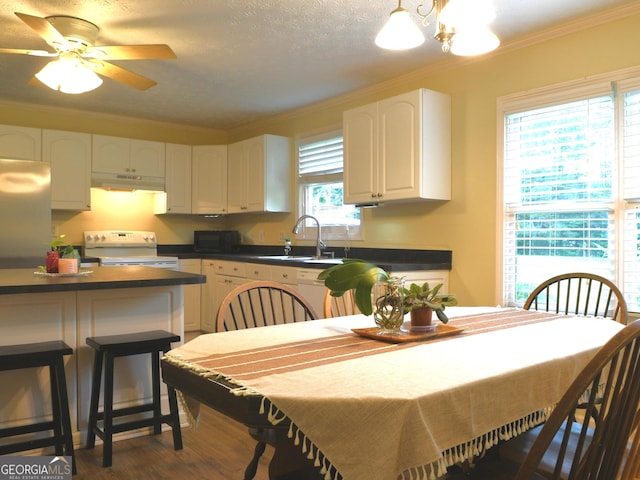 1537 David Lee St, Acworth, GA 30102 - kitchen featuring white appliances, under cabinet range hood, dark countertops, ornamental molding, and white cabinetry