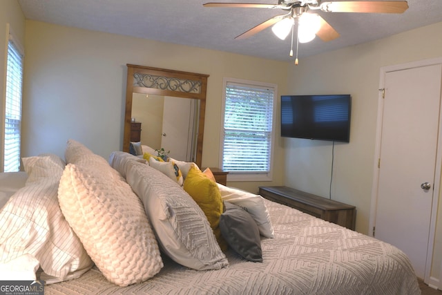 1537 David Lee St, Acworth, GA 30102 - bedroom featuring multiple windows and a ceiling fan