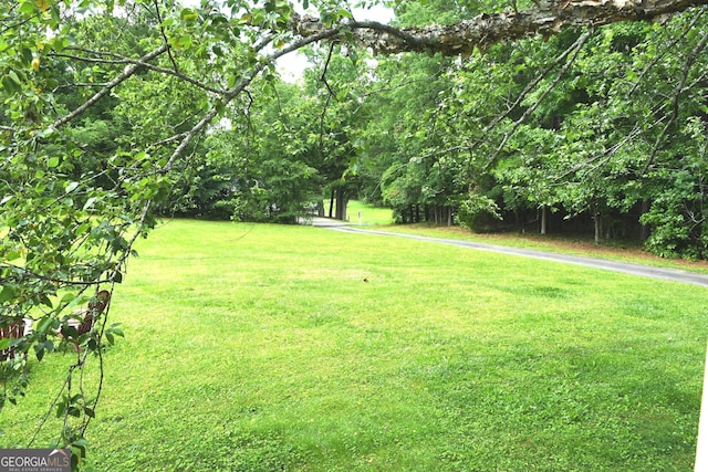 1537 David Lee St, Acworth, GA 30102 - view of grassy yard