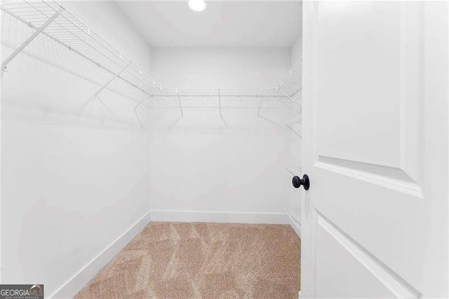 walk in closet with light carpet