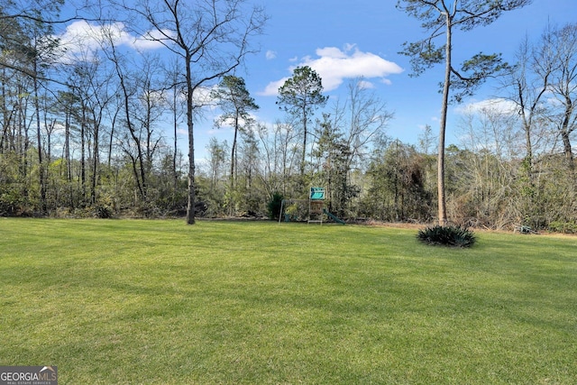 view of yard featuring a playground