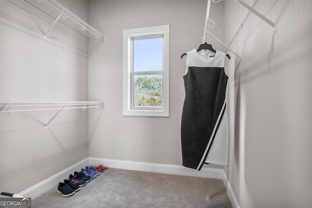 202 Via Lucca, Woodstock, GA 30188 - spacious closet featuring carpet