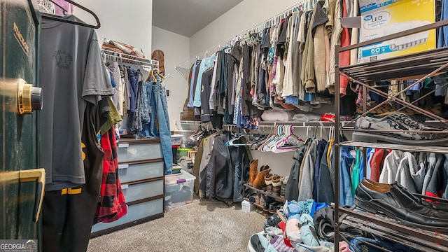 spacious closet with carpet floors