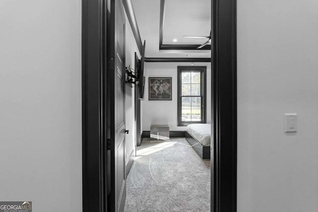 hall featuring baseboards, carpet floors, and a raised ceiling