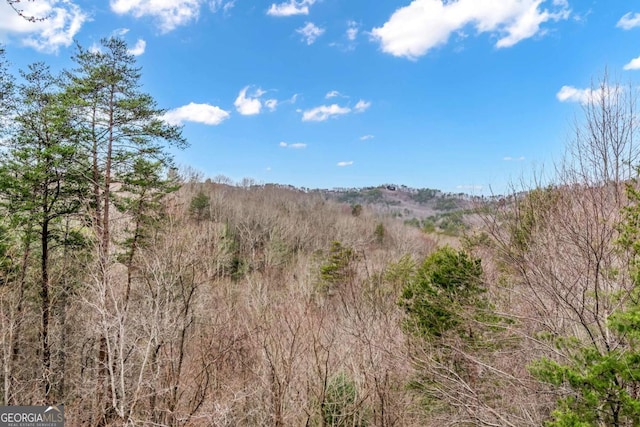 view of nature with a view of trees