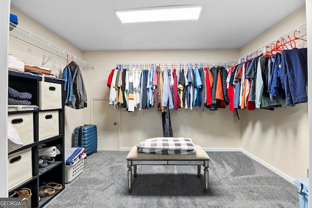 spacious closet featuring carpet