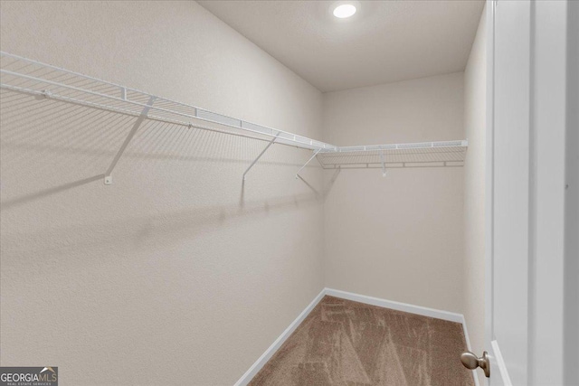 walk in closet featuring carpet