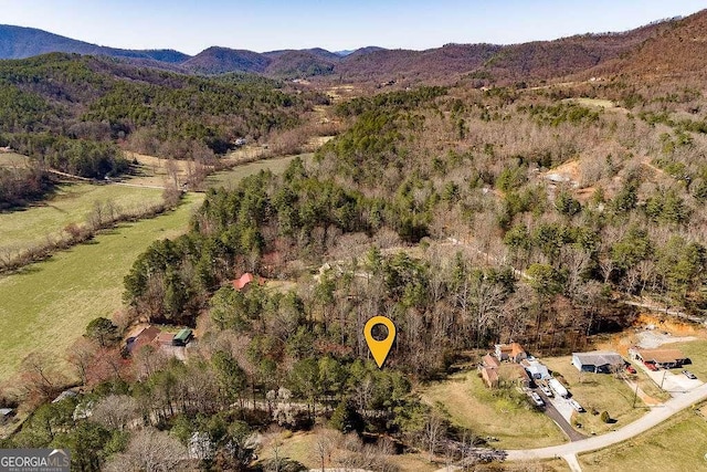 bird's eye view featuring a mountain view and a view of trees