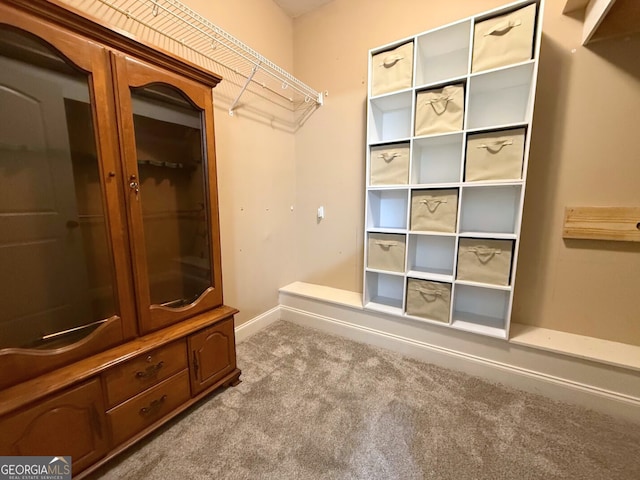 spacious closet with carpet