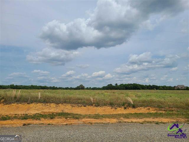 TRACT13C Williams Cir, Elko GA, 31025 land for sale