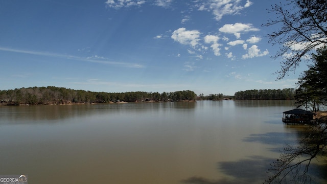 view of water feature featuring a wooded view