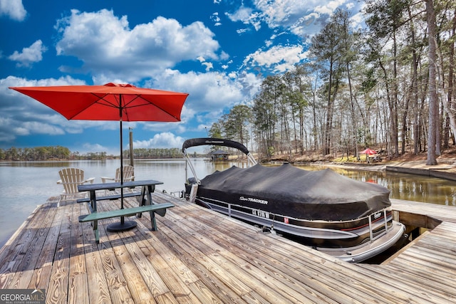 dock area featuring a water view