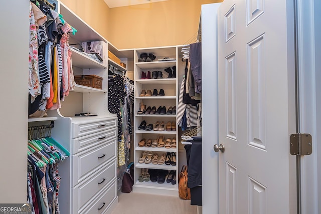 view of spacious closet