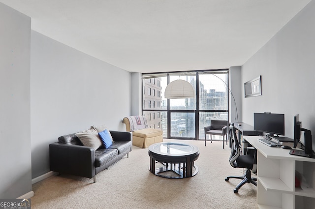 home office with baseboards, carpet, and floor to ceiling windows