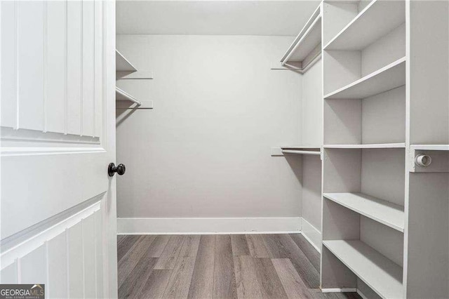 walk in closet featuring wood finished floors