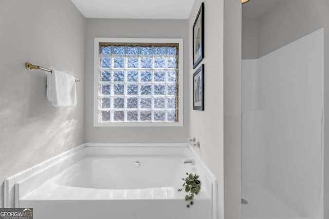 50 Riverside Ct, Hampton, GA 30228 - full bathroom with plenty of natural light, a bath, and a shower