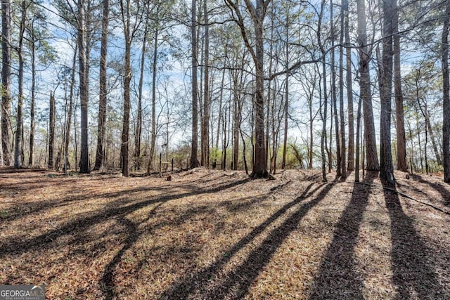 50 Riverside Ct, Hampton, GA 30228 - view of yard