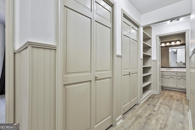 spacious closet with a sink and light wood-type flooring