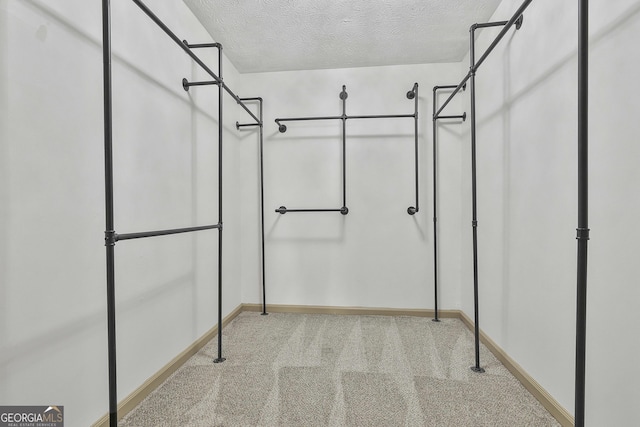 walk in closet with carpet floors